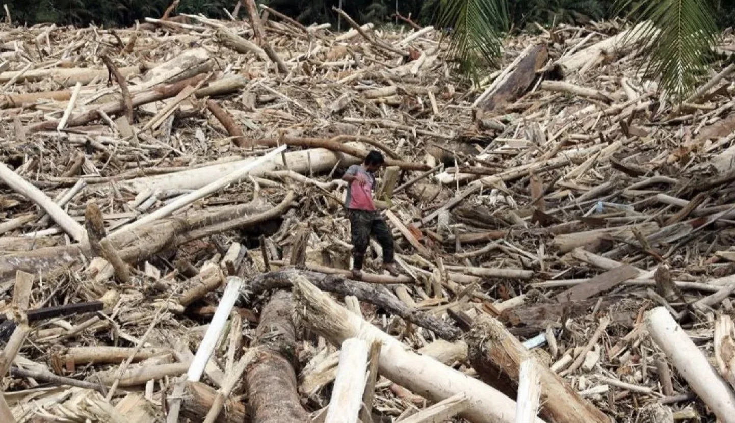 Indonesia Re Soroti Protection Gap, Dampak El Nino ke Klaim Asuransi Dinilai Terbatas