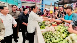 Indonesia Siap Hadapi El Nino Godzilla: Stok Pangan Aman, Antisipasi Kebakaran dan Kekeringan