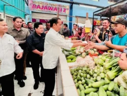 Indonesia Siap Hadapi El Nino Godzilla: Stok Pangan Aman, Antisipasi Kebakaran dan Kekeringan