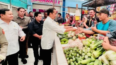 Indonesia Siap Hadapi El Nino Godzilla: Stok Pangan Aman, Antisipasi Kebakaran dan Kekeringan
