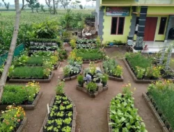 Inovasi Produktif: Dari Kebun Rumah Pensiunan hingga Kebangkitan Finansial Klub Sepak Bola