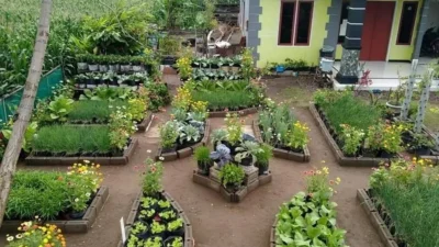 Inovasi Produktif: Dari Kebun Rumah Pensiunan hingga Kebangkitan Finansial Klub Sepak Bola