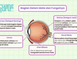 Intel Kejagung Turun Tangan: Danke Rajagukguk Dapat Sanksi Jika Terbukti Main Mata dalam Kasus Amsal