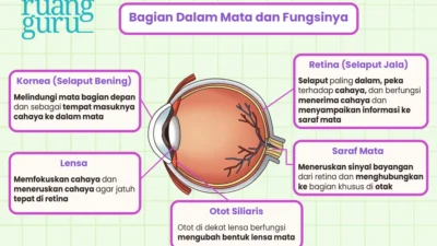 Intel Kejagung Turun Tangan: Danke Rajagukguk Dapat Sanksi Jika Terbukti Main Mata dalam Kasus Amsal