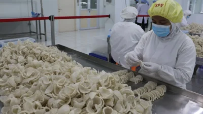 Kemendag Ambil Langkah Tegas di China Setelah Isu Kontaminasi Aluminium pada Sarang Burung Walet