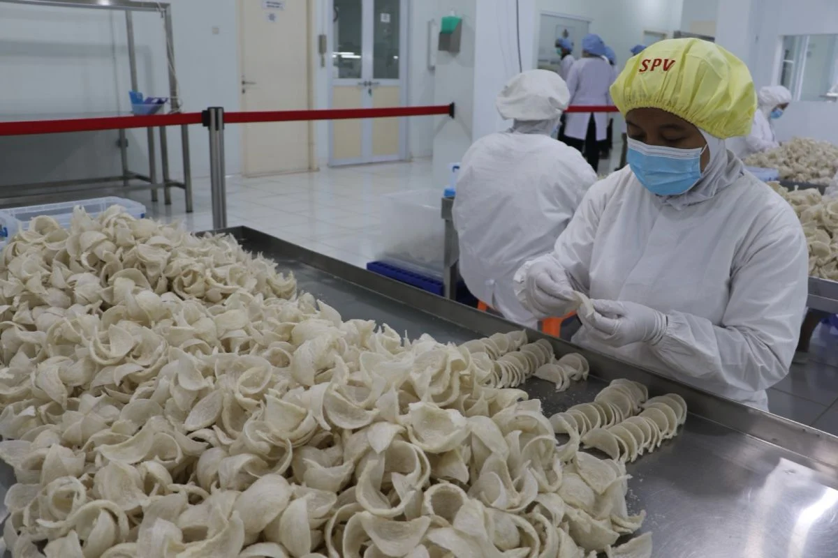 Kemendag Ambil Langkah Tegas di China Setelah Isu Kontaminasi Aluminium pada Sarang Burung Walet