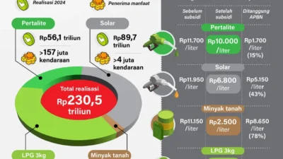 Kepastian Subsidi Tepat: Pemerintah Perketat Distribusi LPG dan BBM, Warga Rumah Subsidi Manfaatkan Kebun Mini