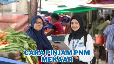 Kisah Nia, Kembangkan Usaha Tahu Rumahan bersama PNM Mekaar