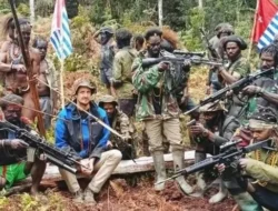 Konflik Papua di Puncak Renggut 9 Nyawa Sipil, Arianto Kogoya: Jangan Korbankan Warga