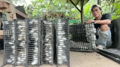 Kucuran Insentif dari BI Belum Mampu Dongkrak Pertumbuhan Kredit UMKM, Ada Apa?