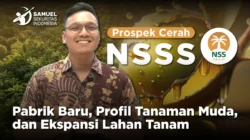 Laba NSSS di 2025 Naik 112 Persen, Seperti ini Target Analis