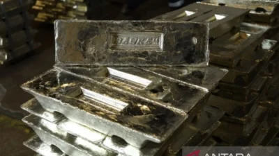 Laba TINS Mencapai Rp1,31 Triliun di Tengah Lonjakan Harga Timah