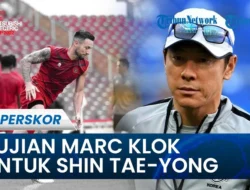 Marc Klok Puji Tim Garuda Meski Tersingkir: Belajar dari Kekalahan Telak di Bulgaria