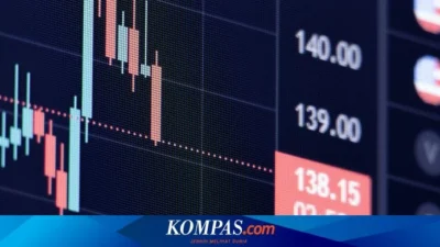 Menguak 9 Emiten BEI dengan Konsentrasi Kepemilikan Tinggi: Apa Dampaknya bagi Investor?