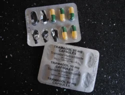 Menguak Beragam Modus Kriminal: Dari Tramadol Bekasi hingga Joki UTBK