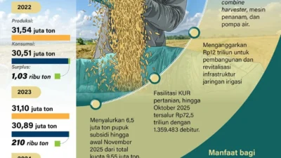 Mentan Amran Bentak Impor Beras: Produksi Naik, Ekspor Sepi, Stok Capai Rekor 4,5 Juta Ton