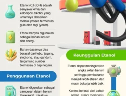 Menteri Pertanian Targetkan Campuran Etanol 20% untuk BBM, Potensi Hemat Rp48 Triliun