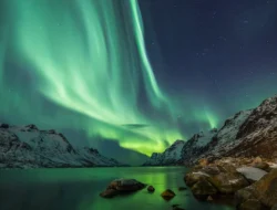 Menyusuri Tromsø: Surga Aurora di Pesisir Utara Norwegia yang Kini Jadi Magnet Kapal Pesiar