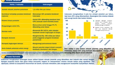 Minyak Jelantah Jadi Energi Terbarukan, Peluang Ekonomi Baru di Tengah Transisi Energi