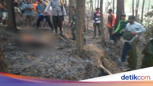 Misteri Hutan Trenggalek: Nenek 77 Tahun Ditemukan Tewas Setelah 12 Hari Menghilang, Penyebabnya Dipertanyakan