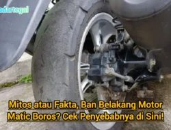 Mitos vs Fakta: Ban Jarang Dipakai Tak Akan Rusak – Apa Kata Ahli?