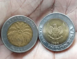 MSIN Dikunci di ARA, Kolektor Borong Habis, Masih Bisa Lari?