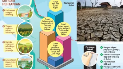 Musim Kemarau 2026: Ancaman El Nino, Upaya Kesiapsiagaan Nasional, dan Solusi Pertanian di Tengah Kekeringan