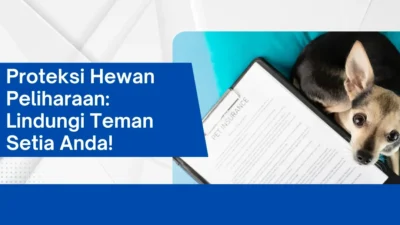 OJK Lirik Potensi Asuransi Hewan di Tengah Tren Pet Humanization