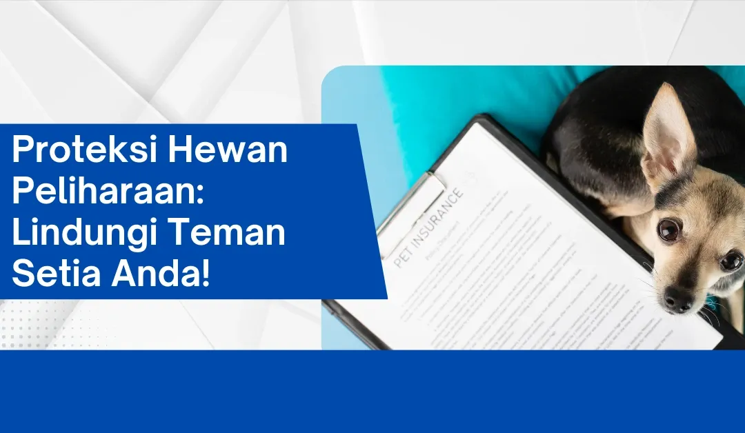 OJK Lirik Potensi Asuransi Hewan di Tengah Tren Pet Humanization
