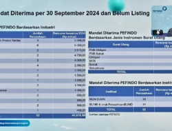Pefindo Proyeksikan Penerbitan Surat Utang Multifinance Tetap Aktif hingga Akhir 2026