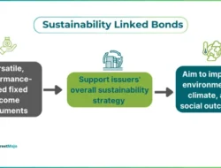 Peluang dan Tantangan Sustainability-Linked Bonds di Indonesia 2026