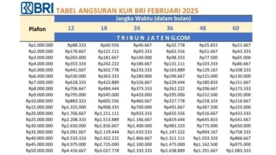Pembiayaan Mobil Baru BRI Finance Melonjak 8 Kali Lipat pada Kuartal I-2026