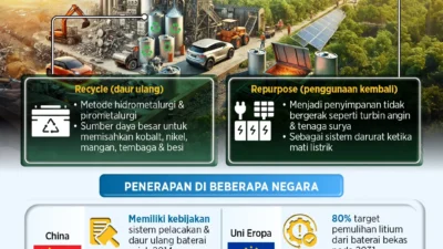 Pertumbuhan EV di Indonesia: 'Nafsu Besar Tenaga Kurang'
