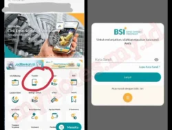 Portal: Dari Transfer Basket Kampus ke Kebangkitan Modding Game Ikonik, Apa yang Menghubungkannya?
