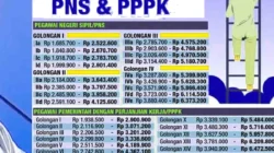 PPPK Paruh Waktu Terancam Gaji Tiga Bulan, Opsi PHK Mulai Muncul: 8 Poin Penting KemenPANRB & BKN