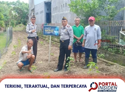 Program BRI Transformasi Lahan Kosong Jadi Sumber Nilai