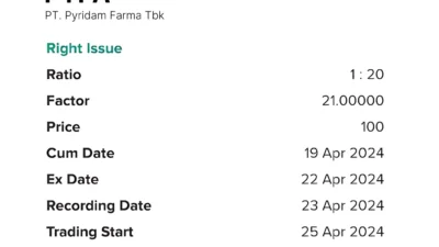 PYFA Siapkan Right Issue Jumbo 5,7 Miliar Saham, ini Penawarannya