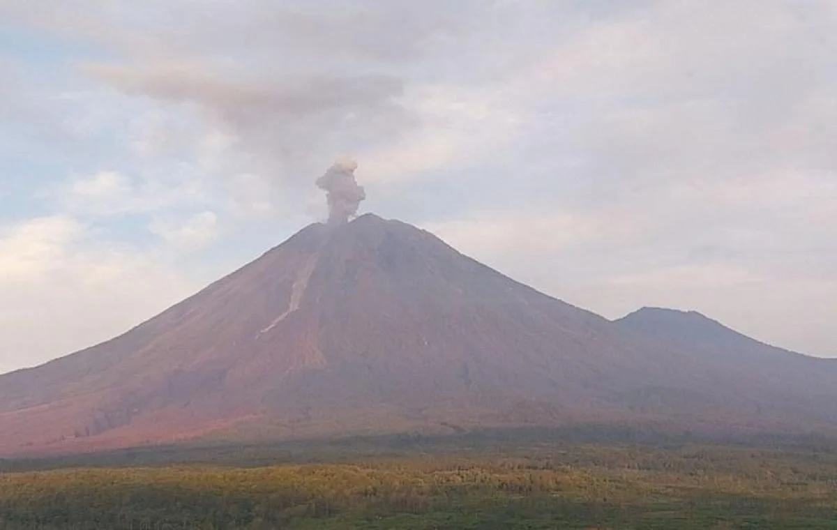Semeru Meletus Tujuh Kali dalam Satu Hari, Kolom Abu Mencapai 1,1 km – Ancaman Besar di Jawa Timur