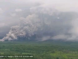 Semeru Meningkat! Empat Erupsi Beruntun, Awan Panas Menyentuh 3,5 km, PVMBG Keluarkan Peringatan Keras