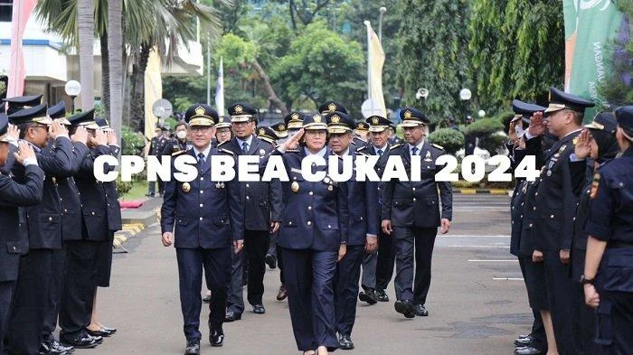 Siap‑Siap! Bea Cukai Buka 300 Formasi CPNS Lulusan SMA Bulan Depan