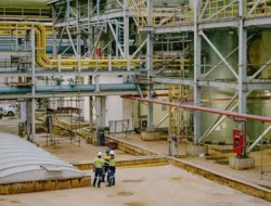 SILO Catat Laba Rp1,16 Triliun, EBITDA Tumbuh 18% pada 2025
