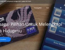 SOHO Amankan Kredit BCA Rp150 Miliar, Buat Apa?