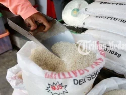 Stok Beras Mencapai 5 Juta Ton, Mentan Amran Sulaiman Tekankan Inovasi Kampus dan Dukungan Pakan Ayam Probiotik untuk Kemandirian Pangan Nasional