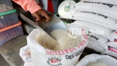 Stok Beras Mencapai 5 Juta Ton, Mentan Amran Sulaiman Tekankan Inovasi Kampus dan Dukungan Pakan Ayam Probiotik untuk Kemandirian Pangan Nasional