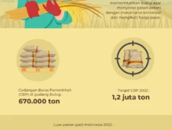 Stok Beras Nasional Mencapai Rekor 5 Juta Ton, Cadangan Aman Hadapi El Nino dan Gejolak Geopolitik