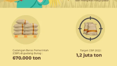 Stok Beras Nasional Mencapai Rekor 5 Juta Ton, Cadangan Aman Hadapi El Nino dan Gejolak Geopolitik