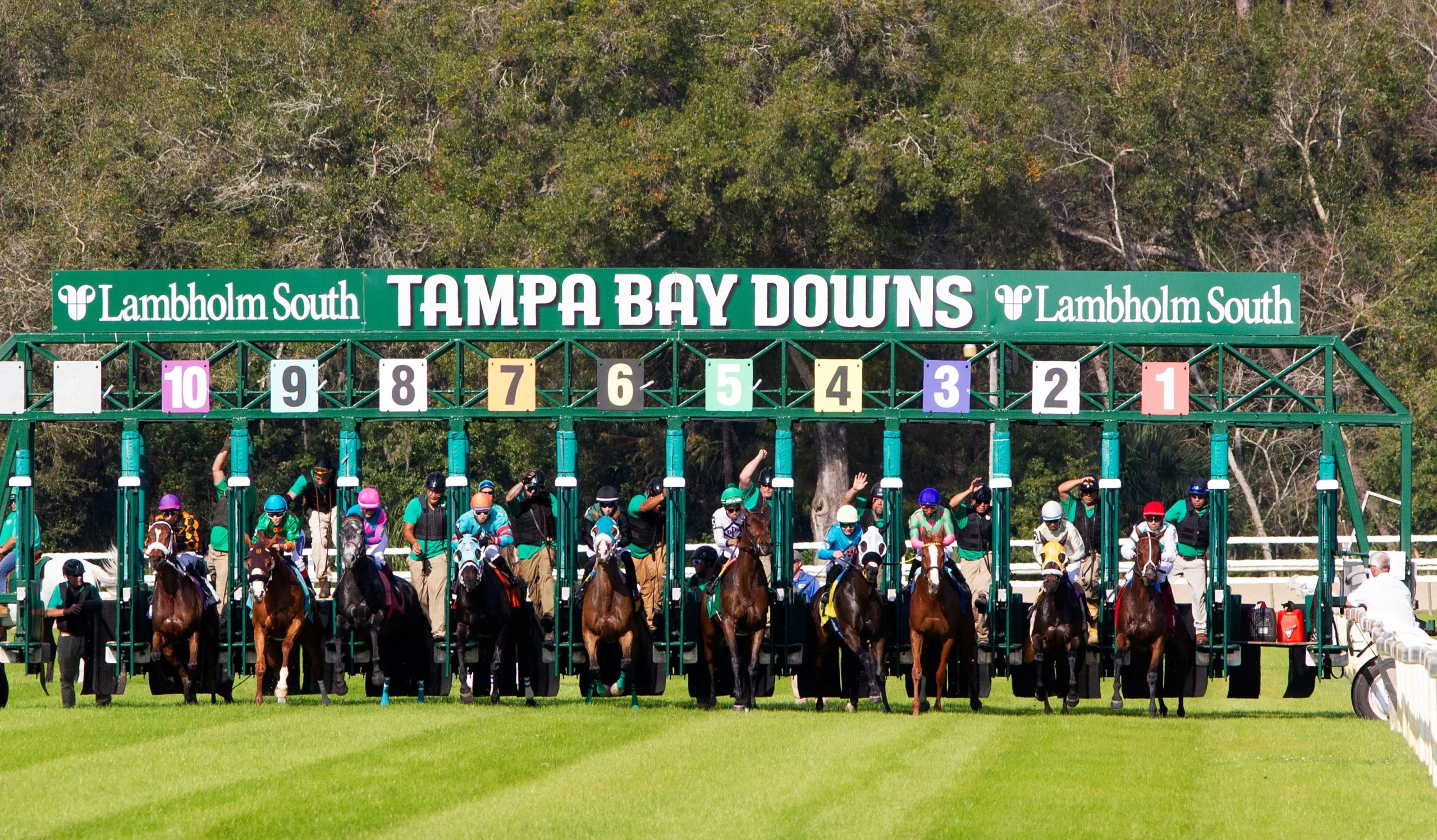 Tampa Bergolak: Hujan, Properti Mewah, Kemenangan Olahraga, K-Pop, dan Penemuan Kapal WWI Mengguncang Kota