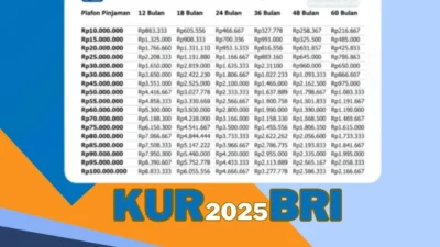 Tok! BRI Setuju Bagi Dividen Tunai Rp 52,1 Triliun untuk Tahun Buku 2025