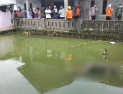 Tragedi Balita Ponorogo Tewas Tenggelam di Kolam Ikan: Penyebab Diduga Terpeleset Saat Bermain