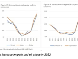 War in Iran Shakes Indonesia’s Food Supply Chain: ID FOOD Warns of Looming Import Crisis